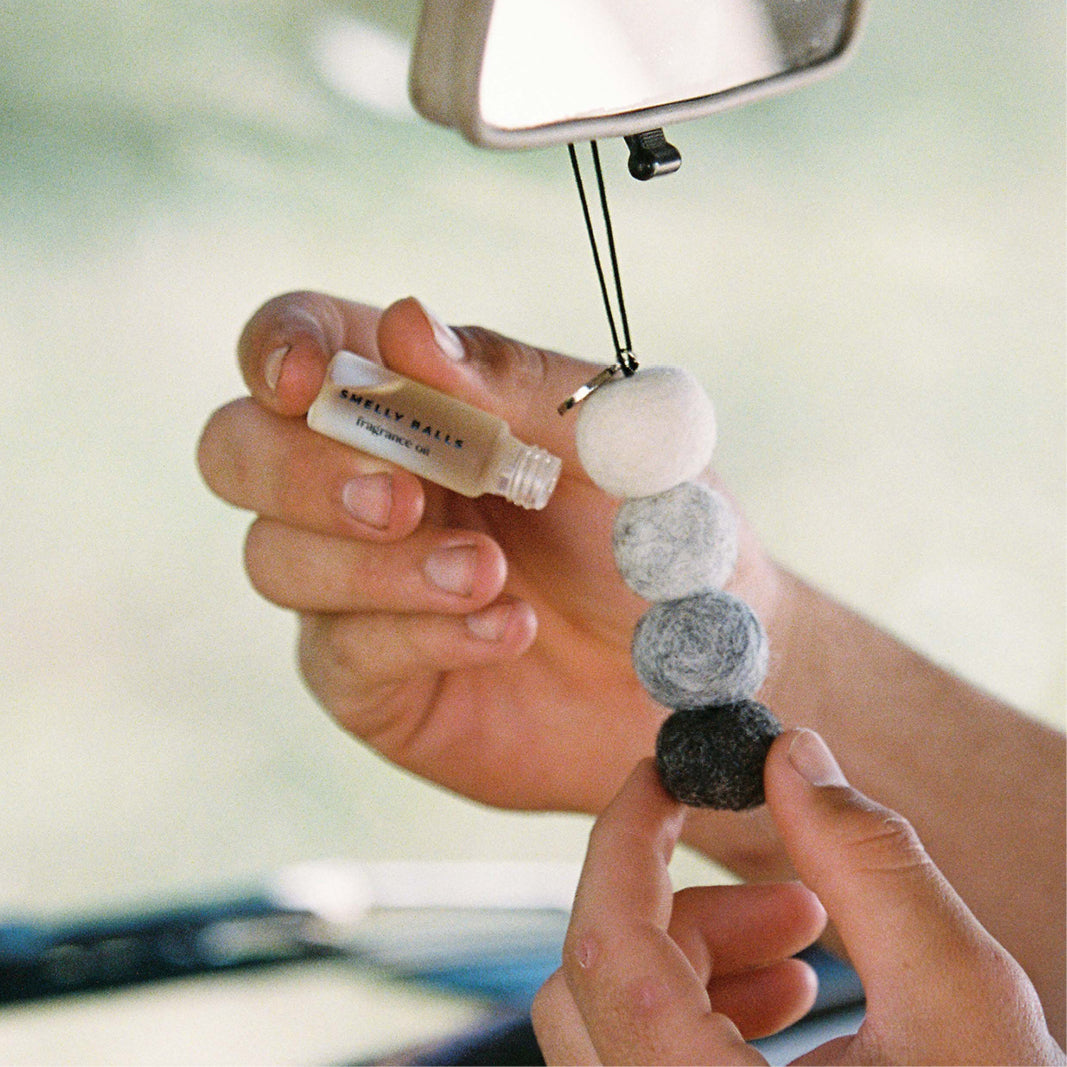 Reusable Air Freshener - Smelly Balls