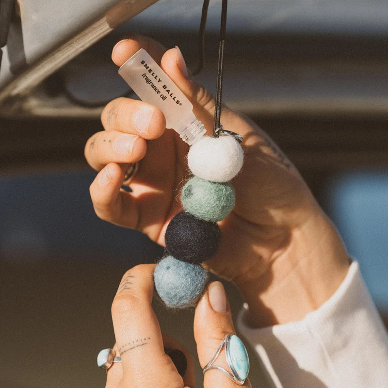 Reusable Air Freshener - Smelly Balls