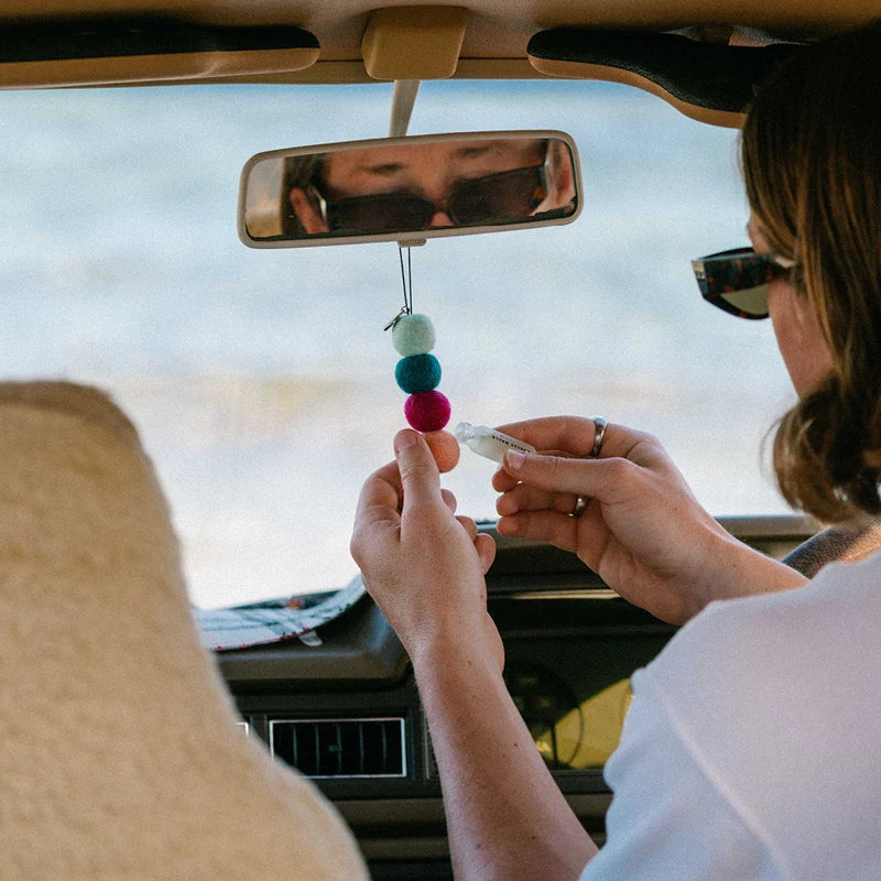 Reusable Air Freshener - Smelly Balls
